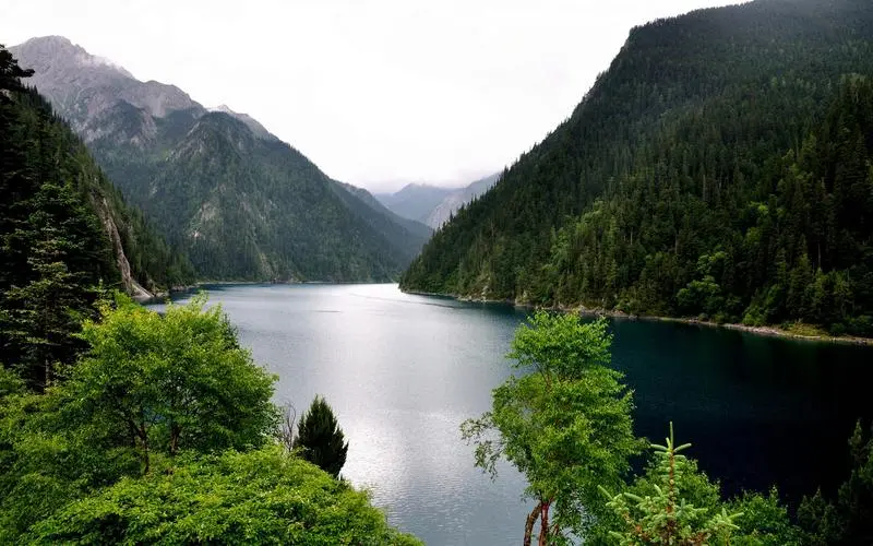 高性能自动化